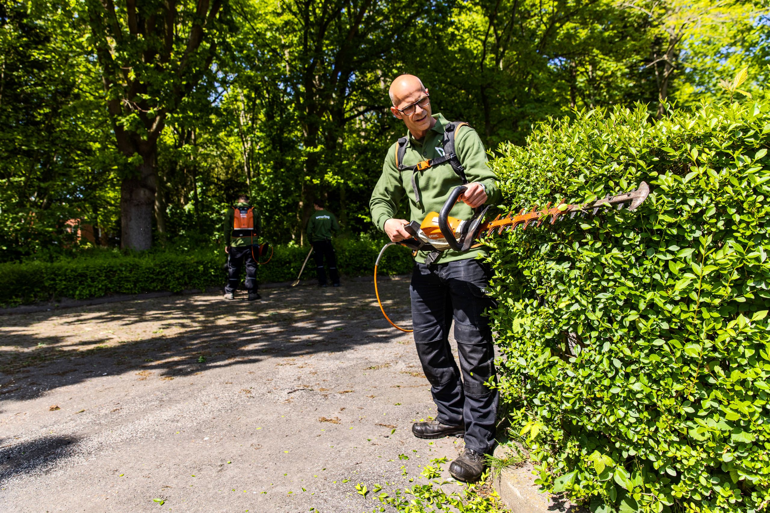 hovenier-groenvoorziener-Weverling-Groenproviders